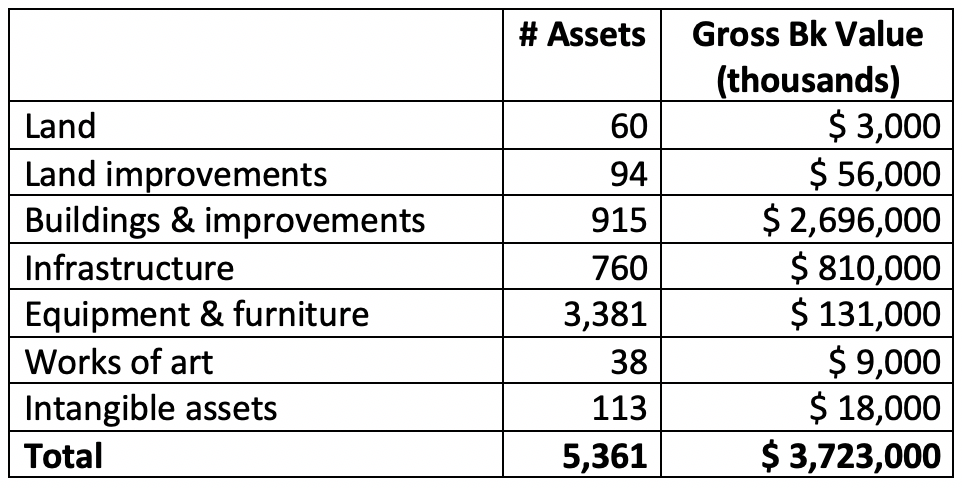 screenshot of sample excel list of capital assets sorted by type of asset