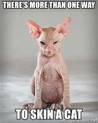 meme with a sphynx cat that reads "there's more than one way to skin a cat"